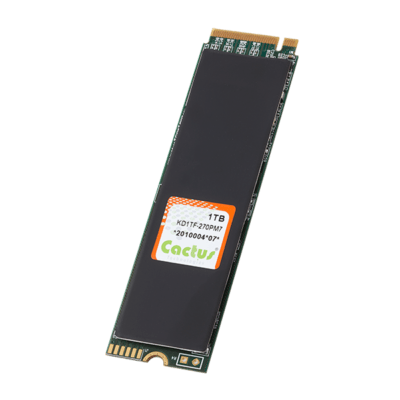 Cactus-270PM7-1TB-2280-PCIe-M.2_600x600-400x400.png