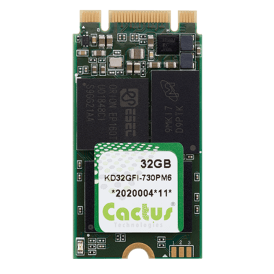Cactus-730PM6-32GB-2242-PCIe-M.2_600x600-400x400.png