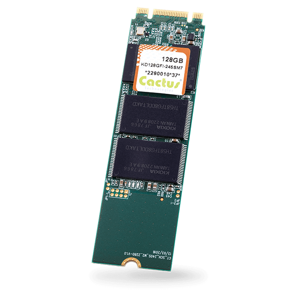 290P 系列 M.2 PCIe（2280）