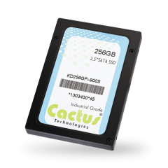 900S 系列 SATA II SSD