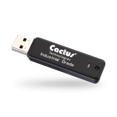 100 系列 USB 闪存盘