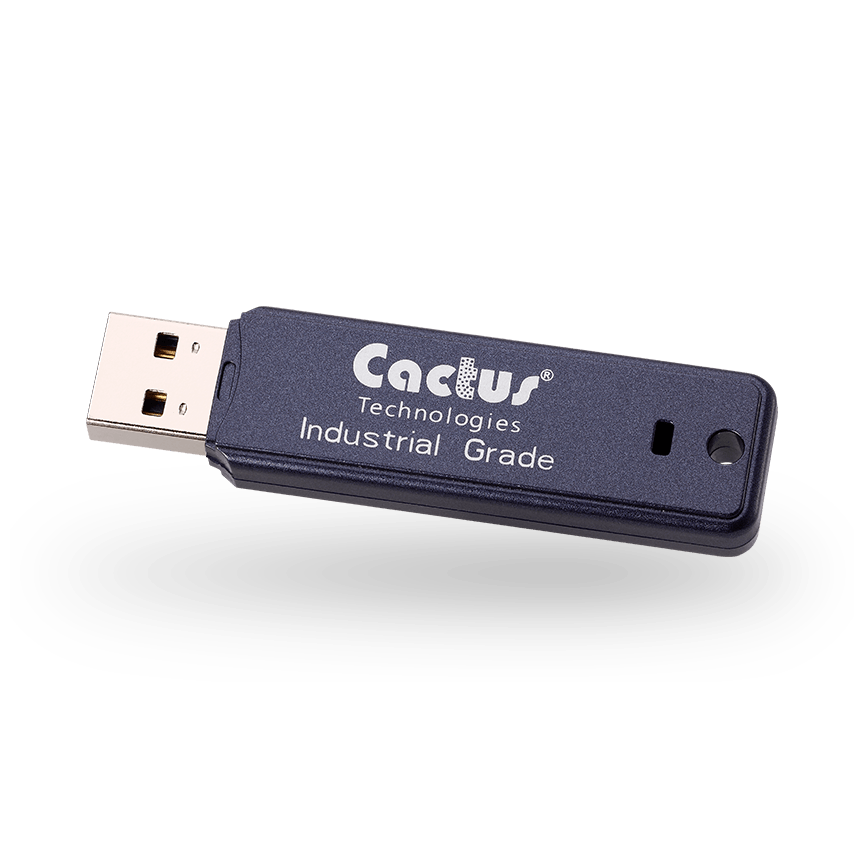 300 系列 USB 闪存盘